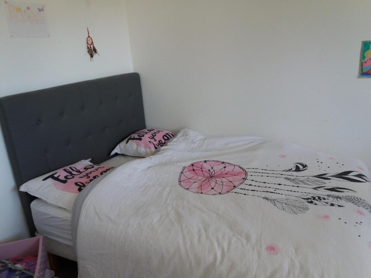Chambres, Cuisine, Piscine, Spa, Billards, Airhockey, Nature Fillinges ภายนอก รูปภาพ
